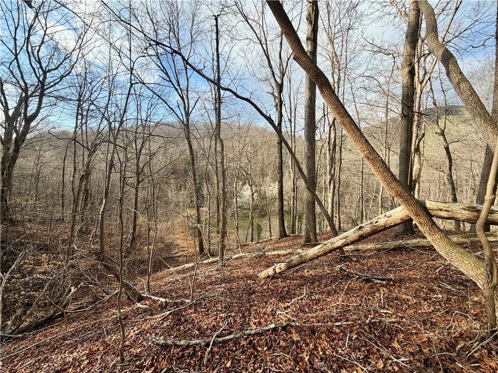 1565 Shoal Creek Road Cleveland, GA 30528 - Photo 18 of 38 a backyard of a house with lots of green space