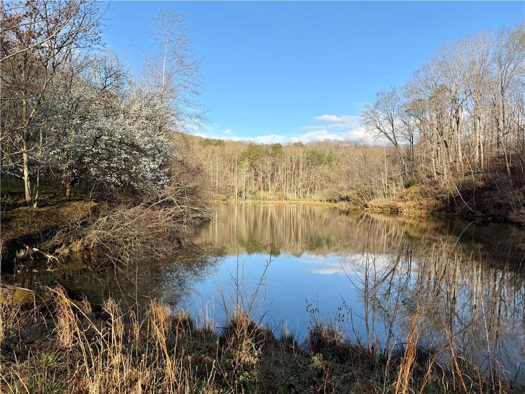 1565 Shoal Creek Road Cleveland, GA 30528 - Photo 2 of 38 a view of lake with lots of trees