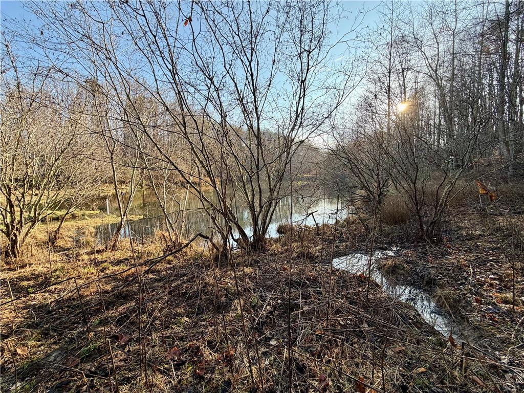 1565 Shoal Creek Road Cleveland, GA 30528 - Photo 3 of 38 a view of a yard