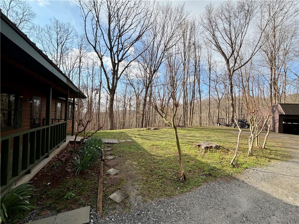 1565 Shoal Creek Road Cleveland, GA 30528 - Photo 34 of 38 a view of a yard with basketball court