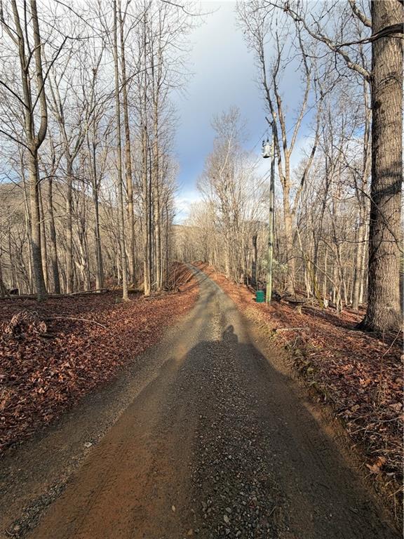 1565 Shoal Creek Road Cleveland, GA 30528 - Photo 37 of 38 a view of dirt yard with a large tree