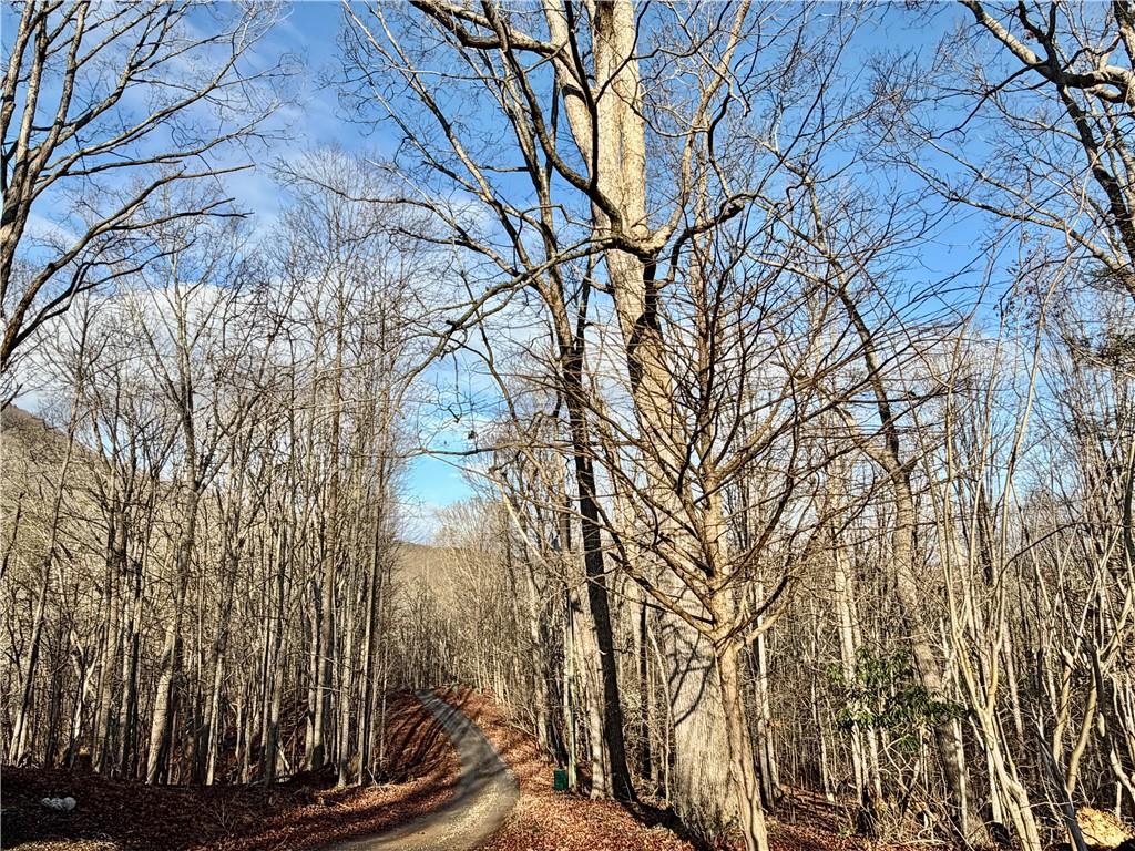 1565 Shoal Creek Road Cleveland, GA 30528 - Photo 38 of 38 a view of a yard