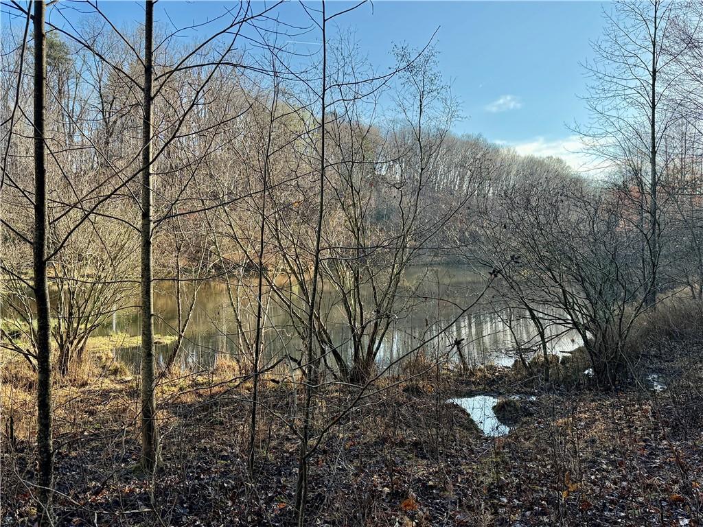 1565 Shoal Creek Road Cleveland, GA 30528 - Photo 4 of 38 a backyard of a house with lots of green space