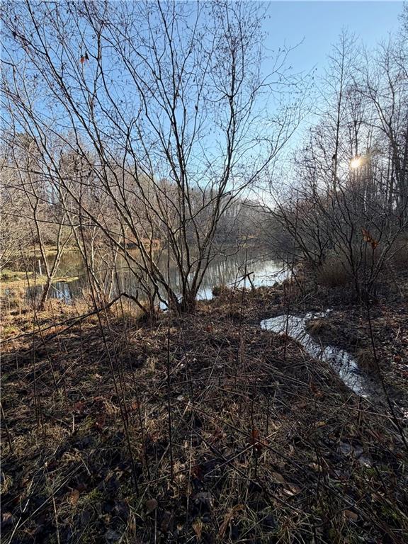 1565 Shoal Creek Road Cleveland, GA 30528 - Photo 5 of 38