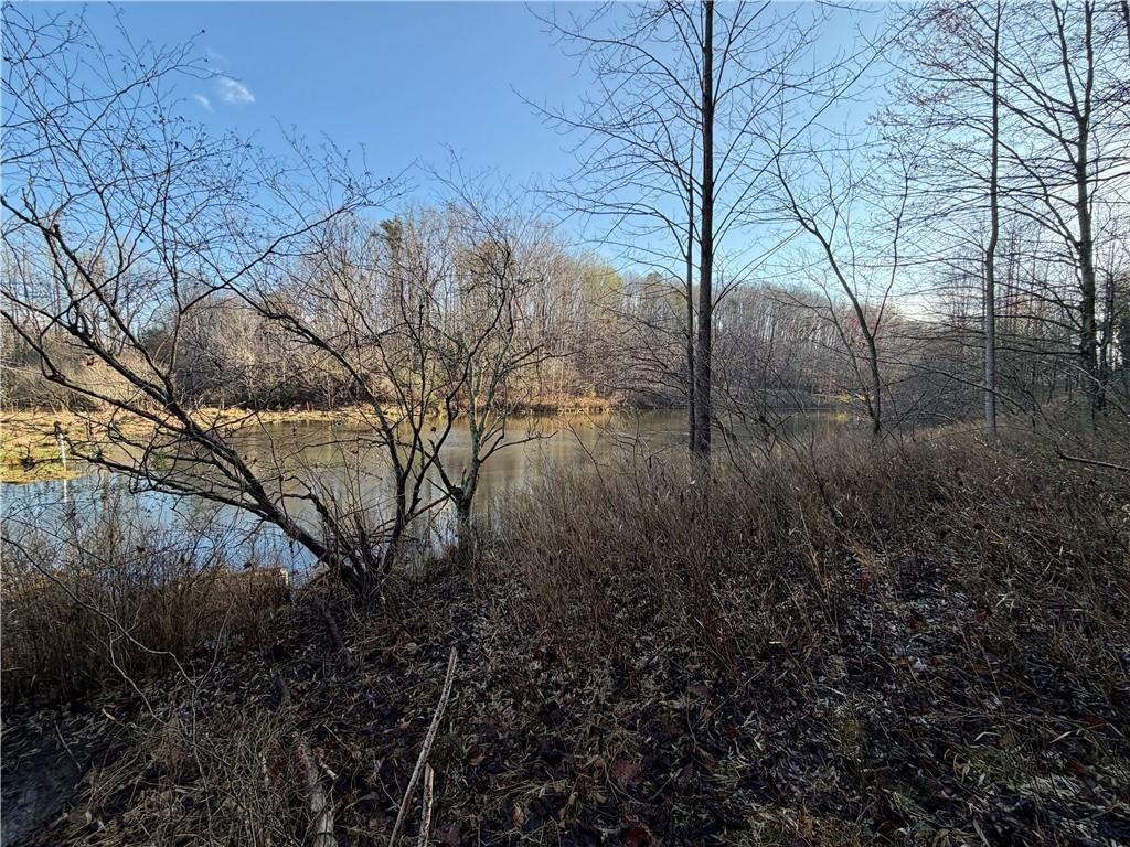 1565 Shoal Creek Road Cleveland, GA 30528 - Photo 6 of 38 a backyard of a house with lots of green space