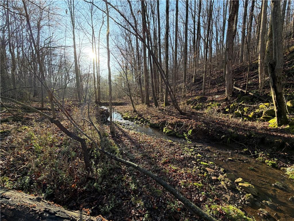 1565 Shoal Creek Road Cleveland, GA 30528 - Photo 8 of 38 a view of a backyard with plants and trees