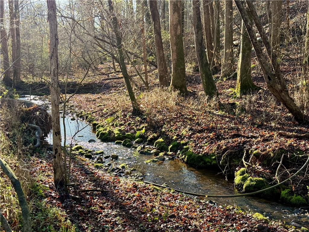 1565 Shoal Creek Road Cleveland, GA 30528 - Photo 9 of 38 a view of lake from a yard