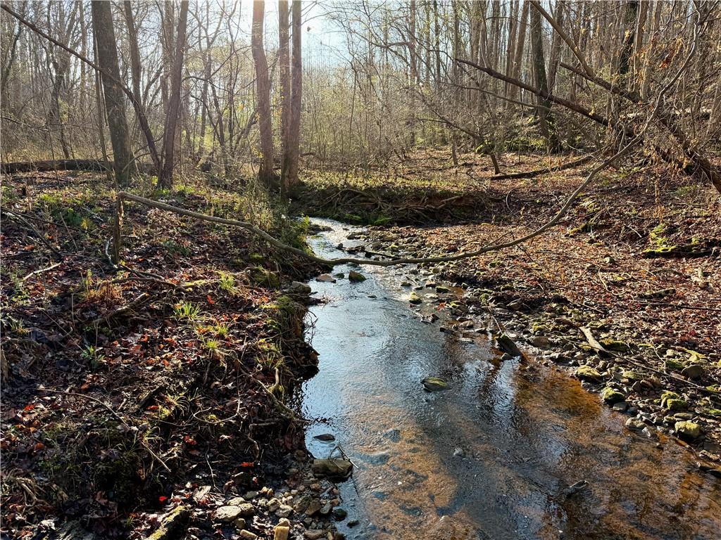 1565 Shoal Creek Road Cleveland, GA 30528 - Photo 10 of 38 a view of a yard