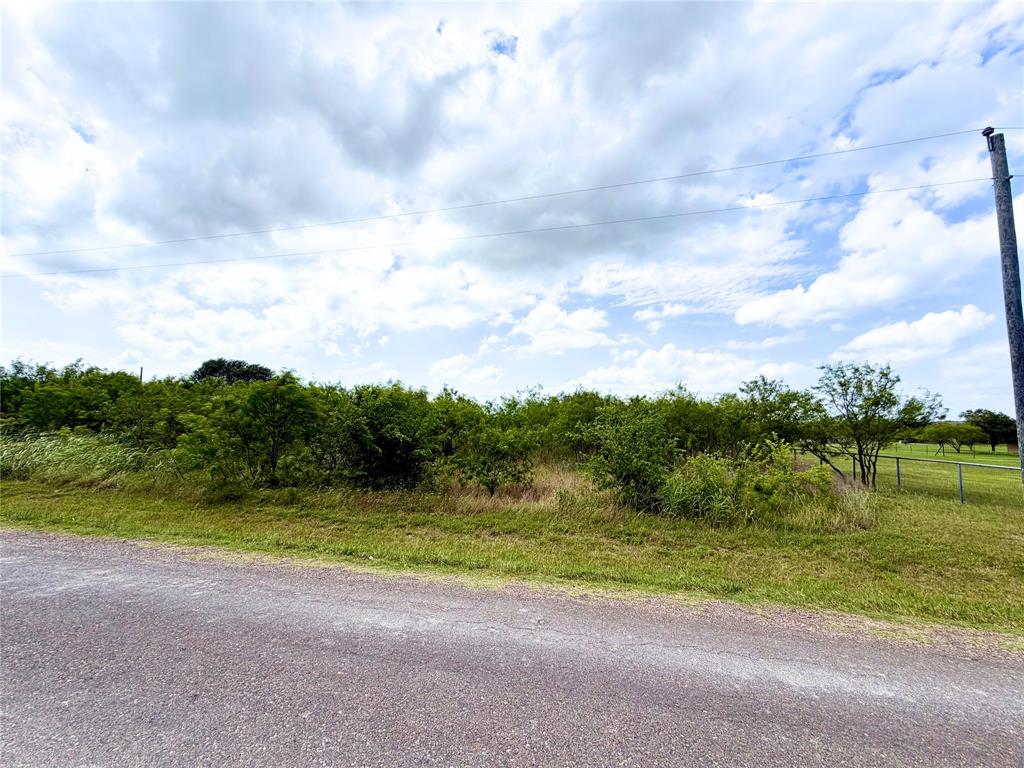 733 Marion Road Venus, TX 76084 - Photo 2 of 5