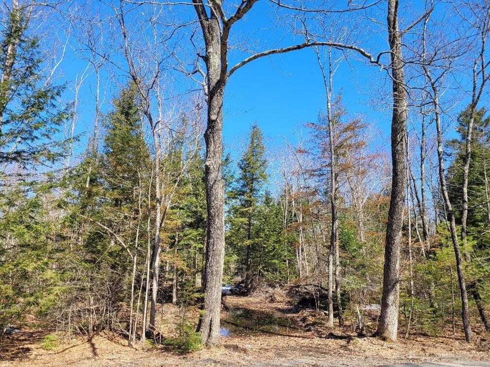 Tbd Cape Cod Hill Road New Sharon, ME 04955 - Photo 1 of 7 20220402_111634_resized