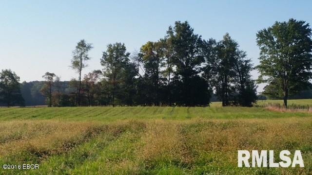 0 East Robin Road Mount Vernon, IL 62864 - Photo 11 of 25