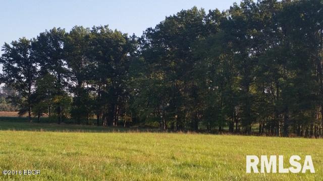 0 East Robin Road Mount Vernon, IL 62864 - Photo 13 of 25