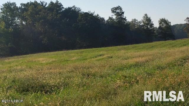 0 East Robin Road Mount Vernon, IL 62864 - Photo 19 of 25