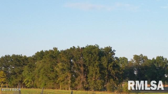 0 East Robin Road Mount Vernon, IL 62864 - Photo 8 of 25