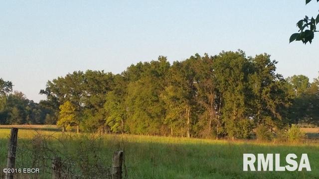 0 East Robin Road Mount Vernon, IL 62864 - Photo 9 of 25