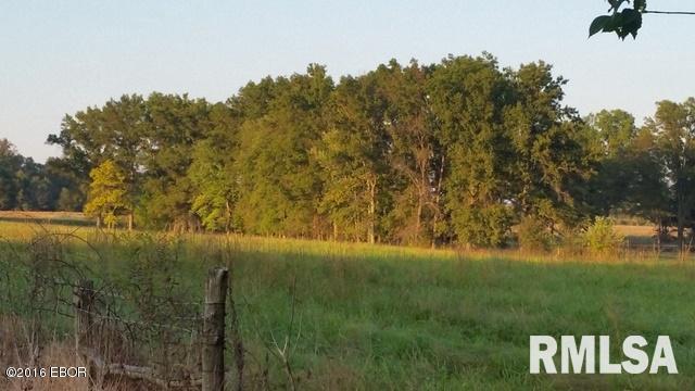0 East Robin Road Mount Vernon, IL 62864 - Photo 10 of 25