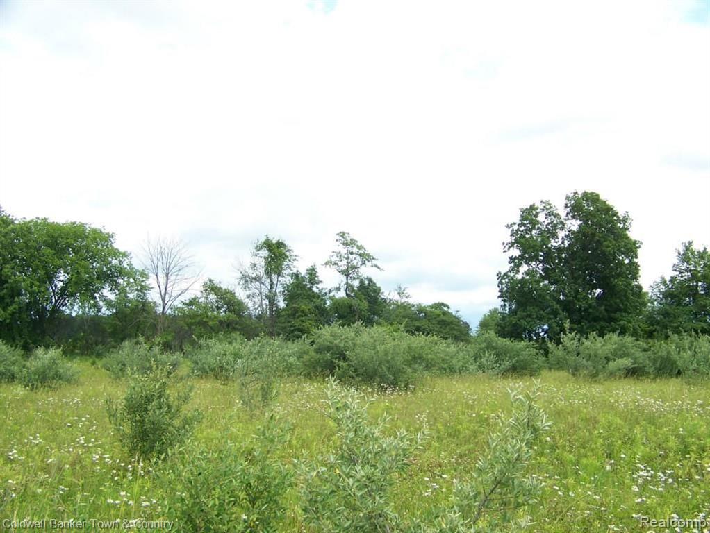 8101 Whitney Road Gaines, MI 48436 - Photo 45 of 57 Gallery Image 45