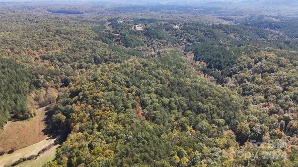 a view of a field of mountains and trees