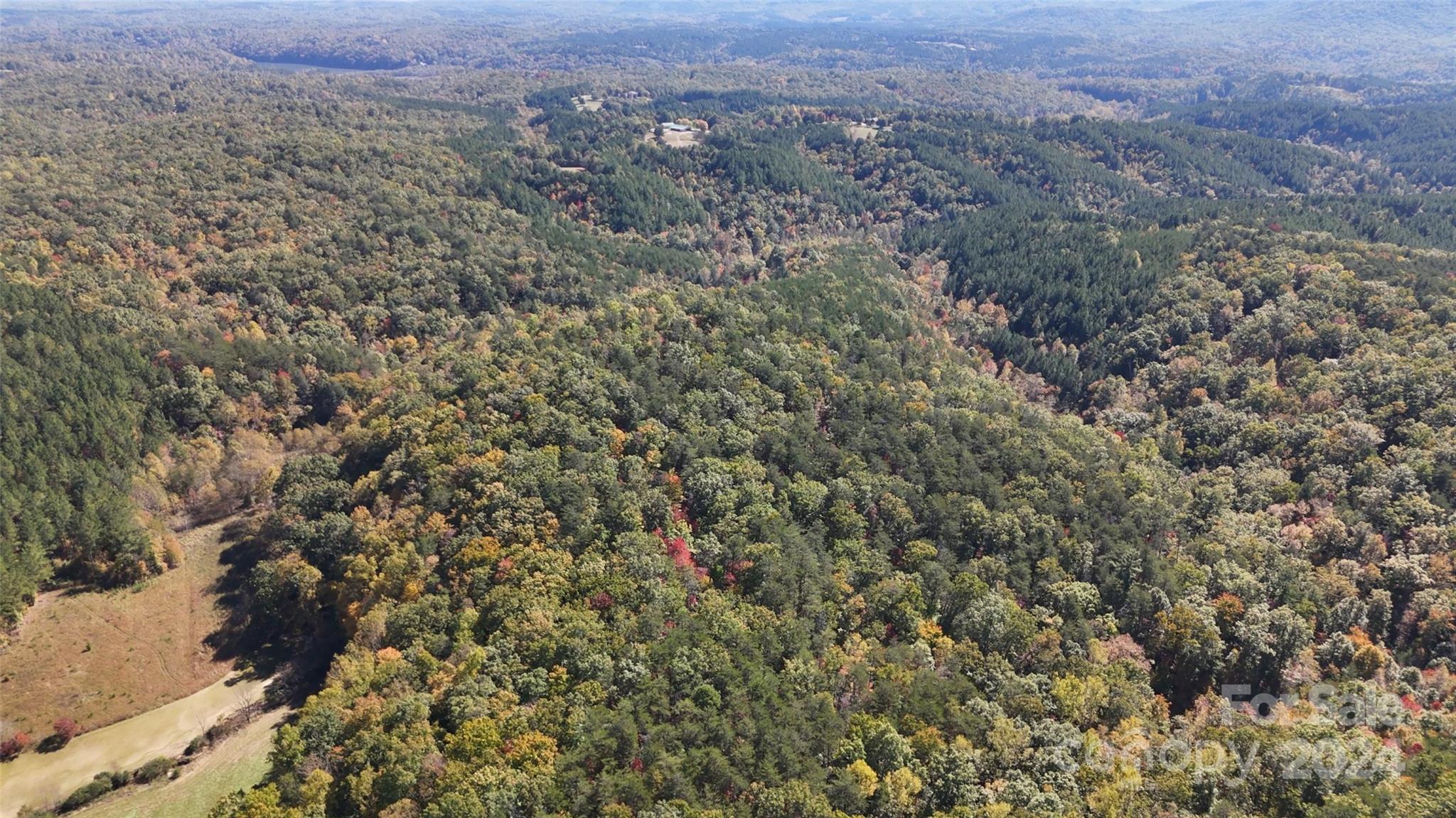 46.6-acres Regan Jackson Road Mill Spring, NC 28756 - Photo 11 of 28 a view of a field of mountains and trees