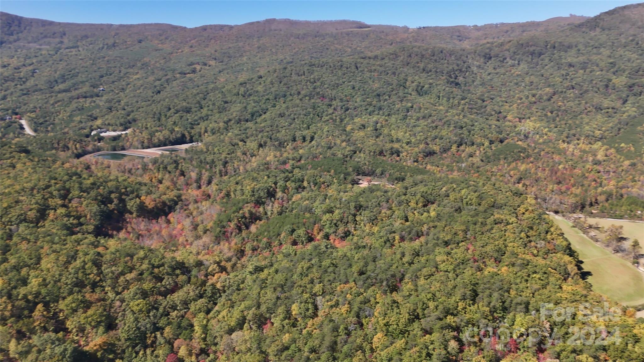 46.6-acres Regan Jackson Road Mill Spring, NC 28756 - Photo 12 of 28 a view of a large mountain with trees in the background
