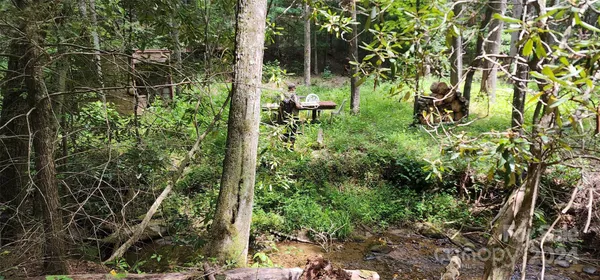 a view of a garden