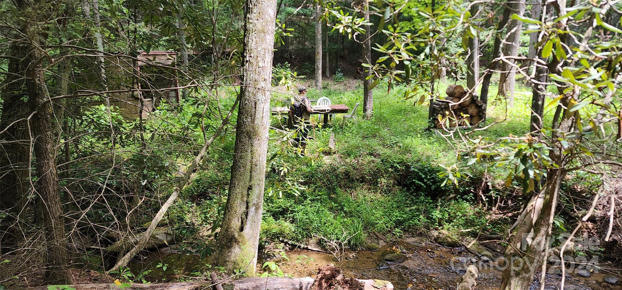 46.6-acres Regan Jackson Road Mill Spring, NC 28756 - Photo 13 of 28
