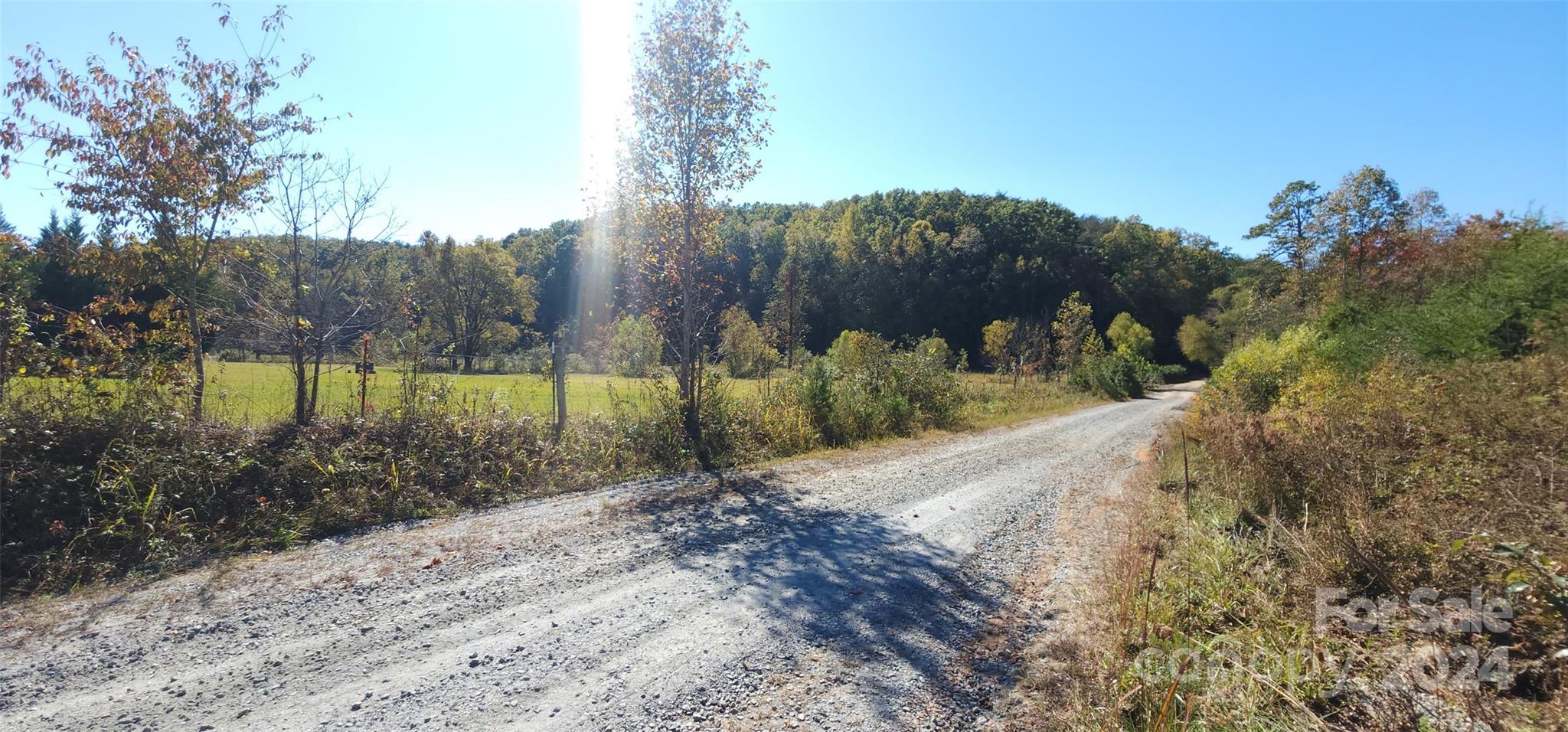 46.6-acres Regan Jackson Road Mill Spring, NC 28756 - Photo 16 of 28 a view of a backyard