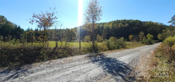 a view of a forest with trees