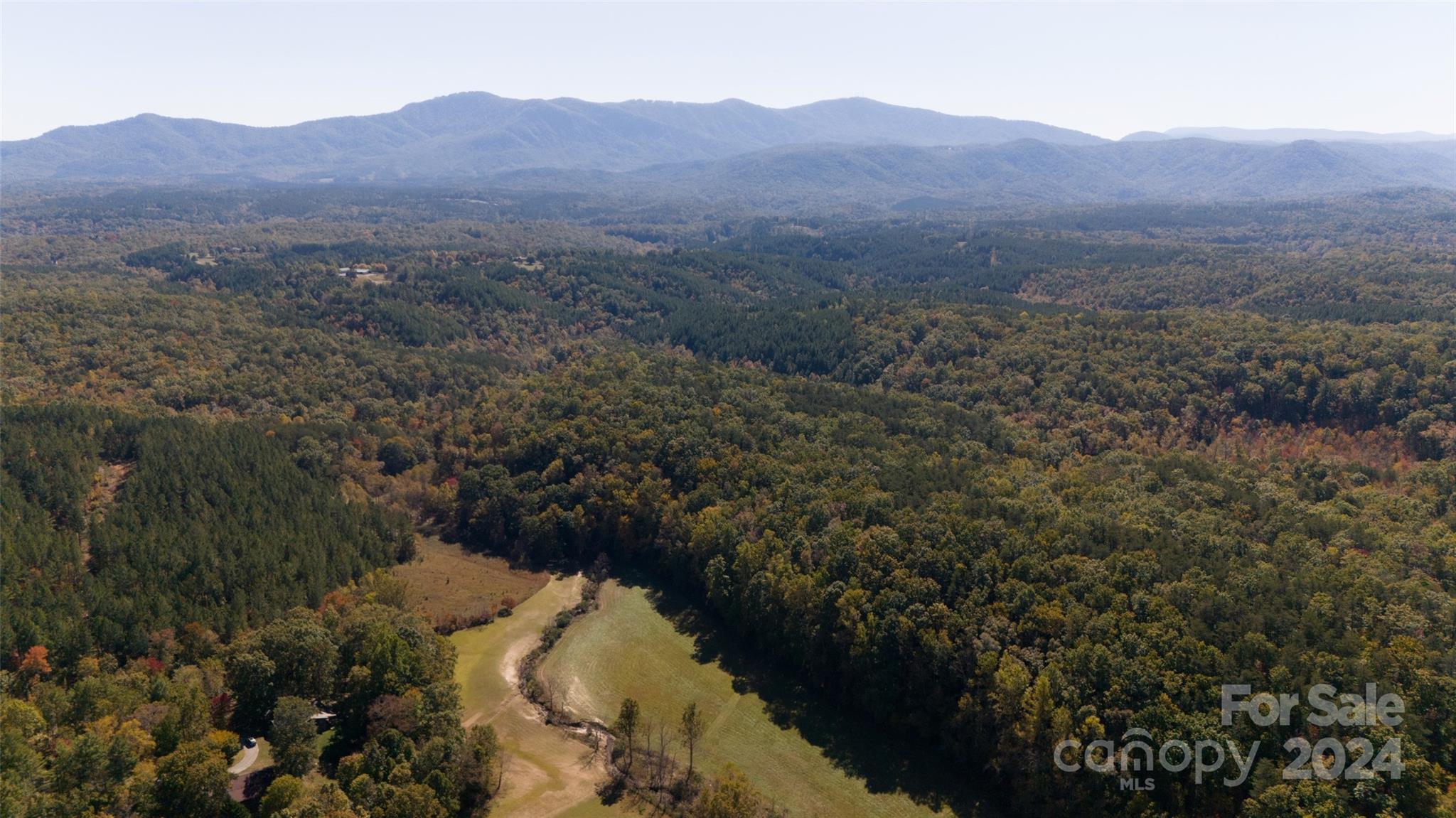 46.6-acres Regan Jackson Road Mill Spring, NC 28756 - Photo 19 of 28 a view of a mountain in the distance in a field