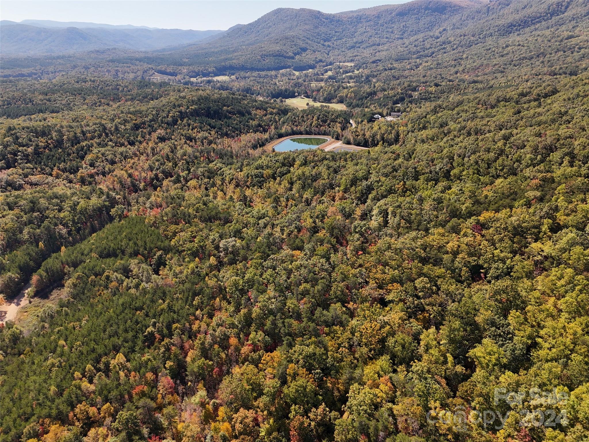 46.6-acres Regan Jackson Road Mill Spring, NC 28756 - Photo 2 of 28 an aerial view of residential house and green space