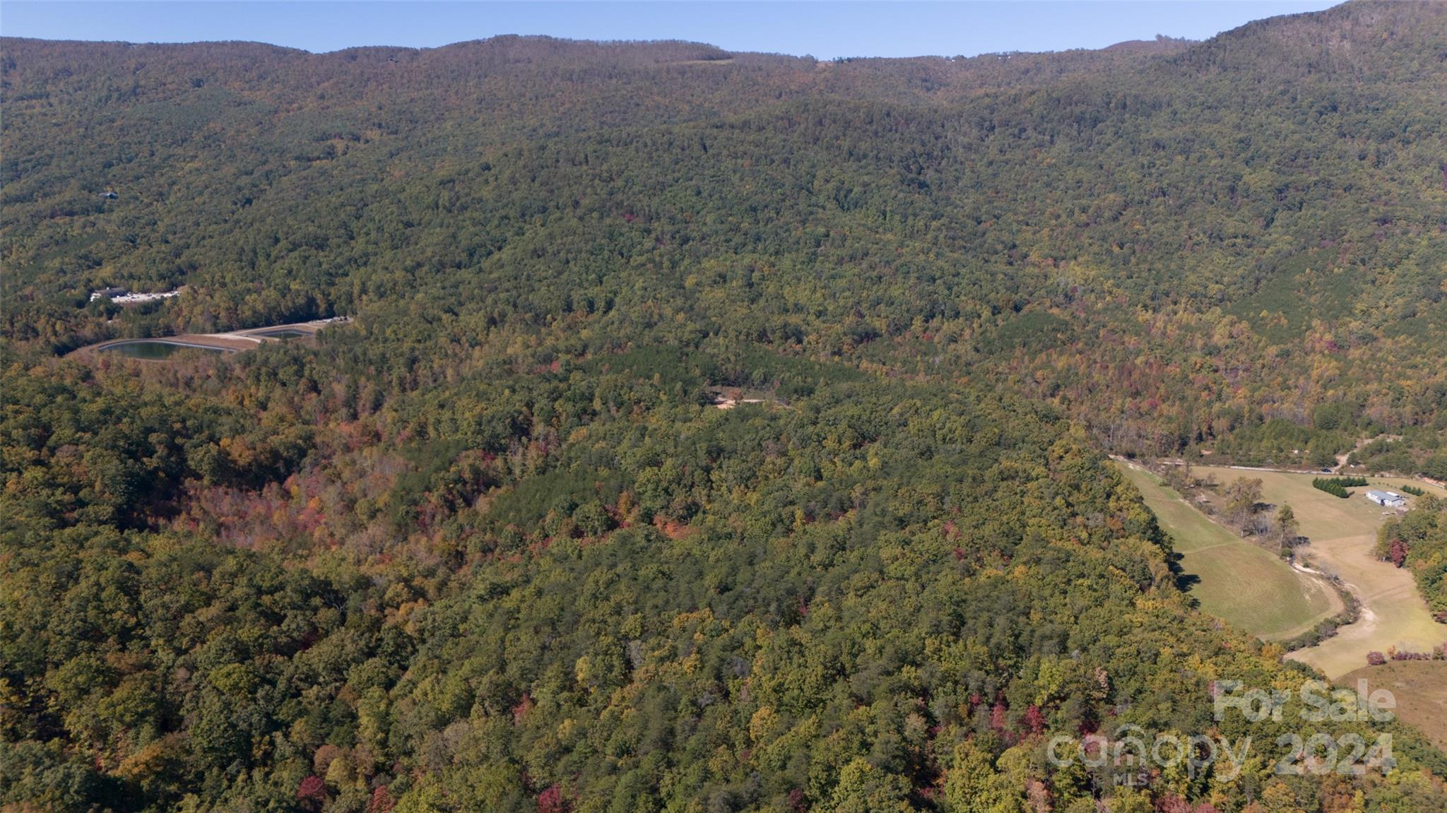 46.6-acres Regan Jackson Road Mill Spring, NC 28756 - Photo 22 of 28 a view of a dry field with trees in the background