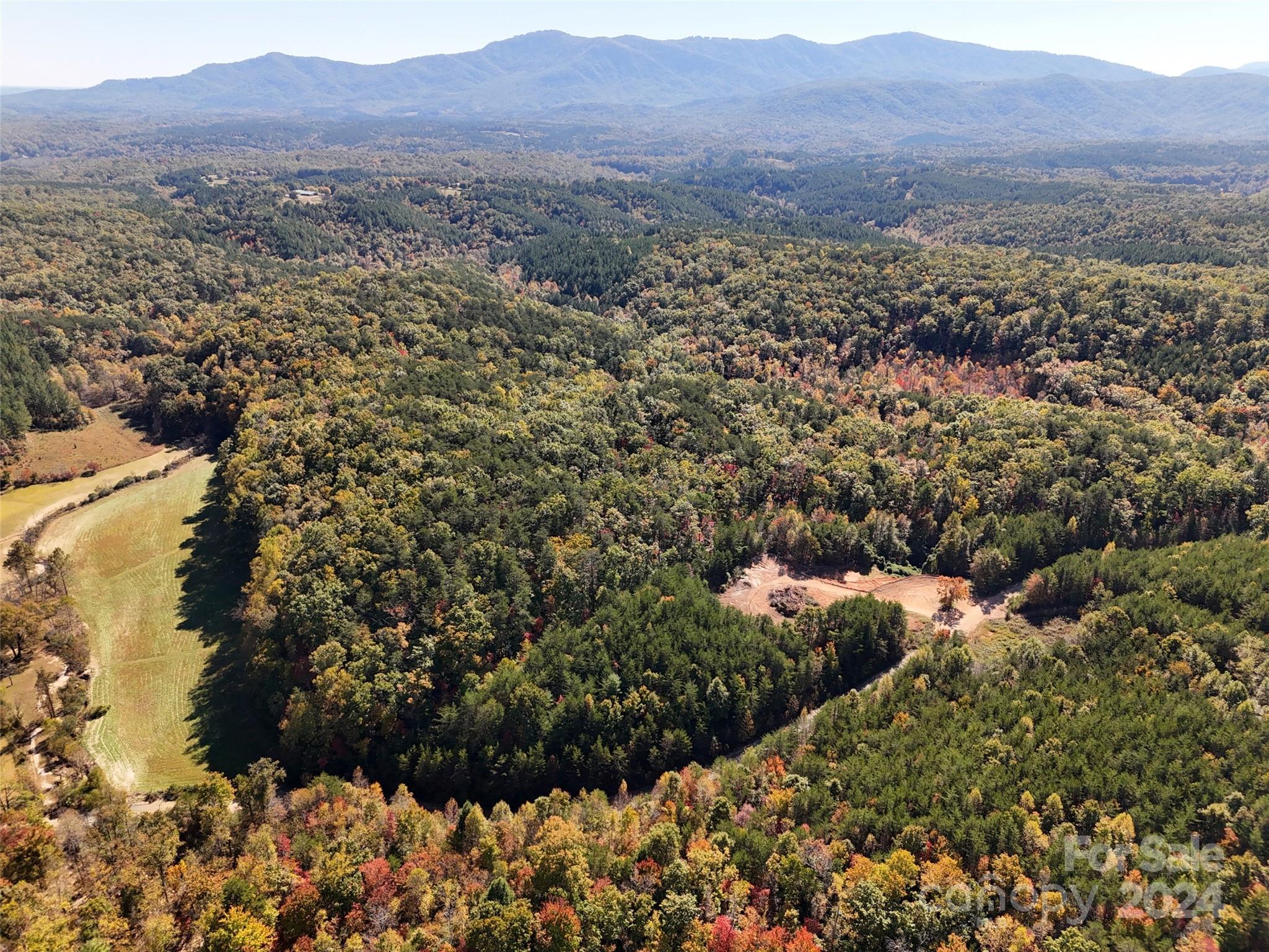 46.6-acres Regan Jackson Road Mill Spring, NC 28756 - Photo 23 of 28 a view of a city with mountain