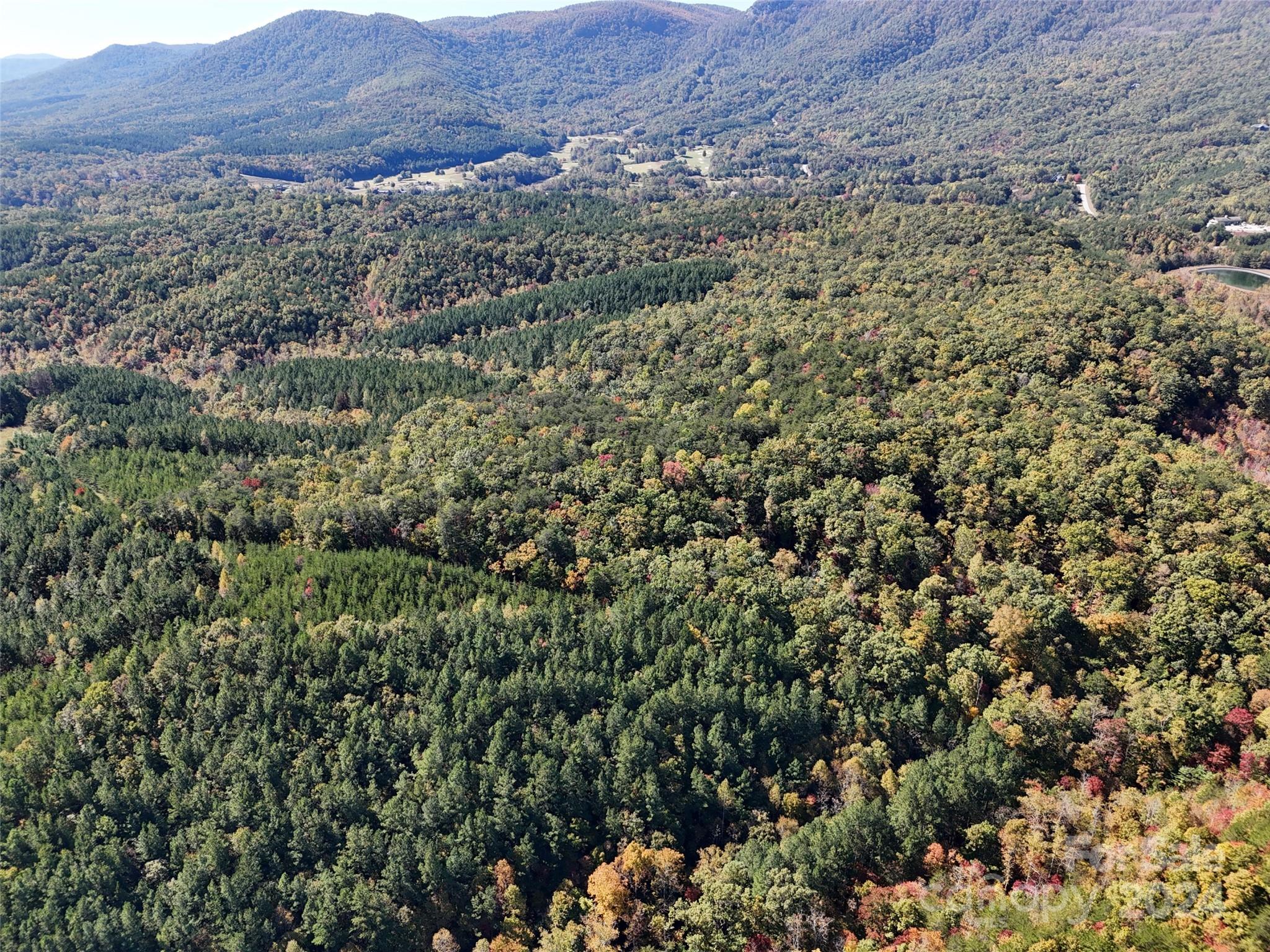 46.6-acres Regan Jackson Road Mill Spring, NC 28756 - Photo 24 of 28 a view of a lush green field