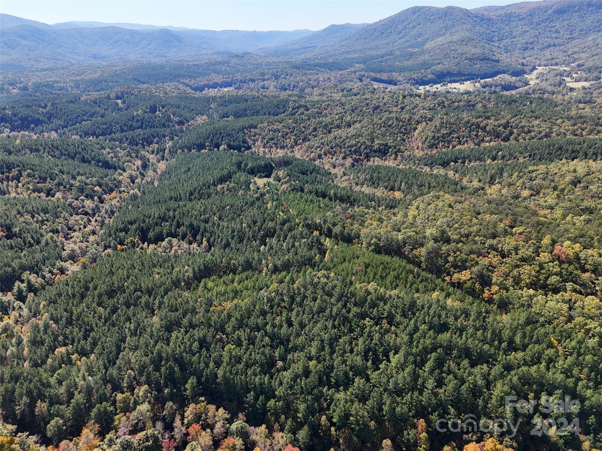 46.6-acres Regan Jackson Road Mill Spring, NC 28756 - Photo 25 of 28