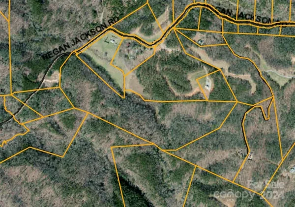 $583,375 | 46.6-acres Regan Jackson Road, Mill Spring, NC 28756