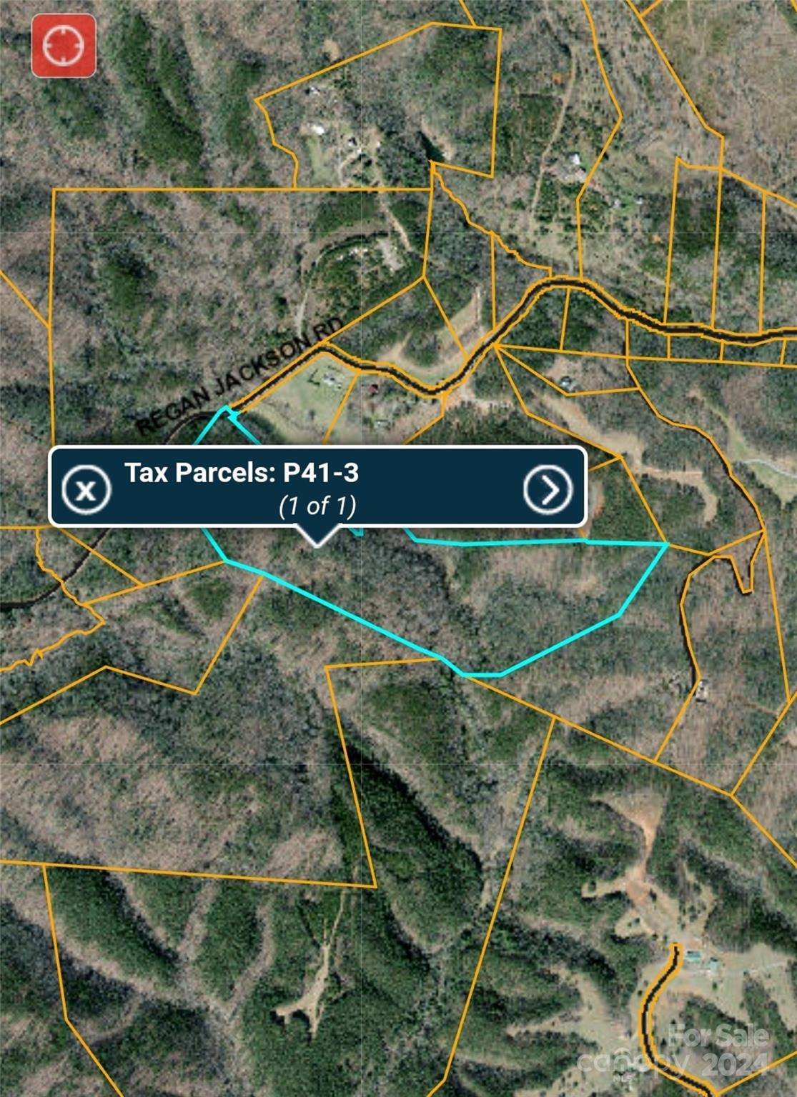 46.6-acres Regan Jackson Road Mill Spring, NC 28756 - Photo 28 of 28 a street sign that is on a pole