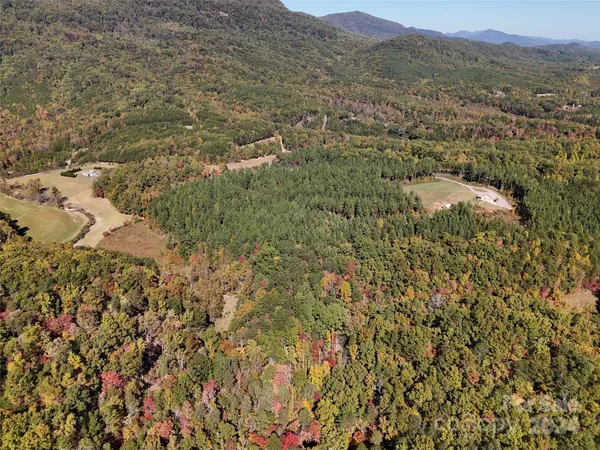 an aerial view of residential house and with trees