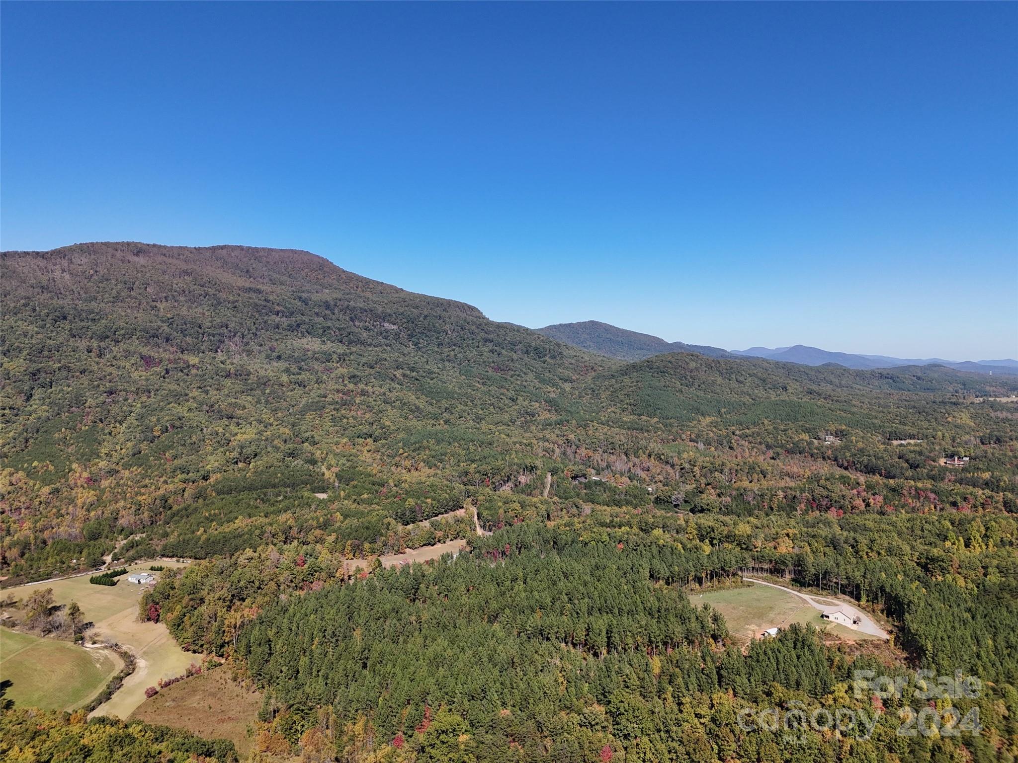 46.6-acres Regan Jackson Road Mill Spring, NC 28756 - Photo 6 of 28 a view of a mountain in the distance in a field