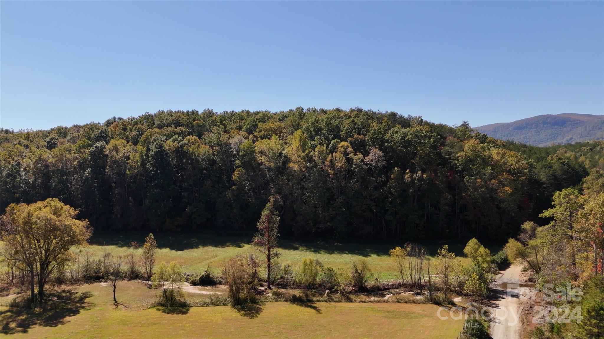 46.6-acres Regan Jackson Road Mill Spring, NC 28756 - Photo 8 of 28 a view of a sky