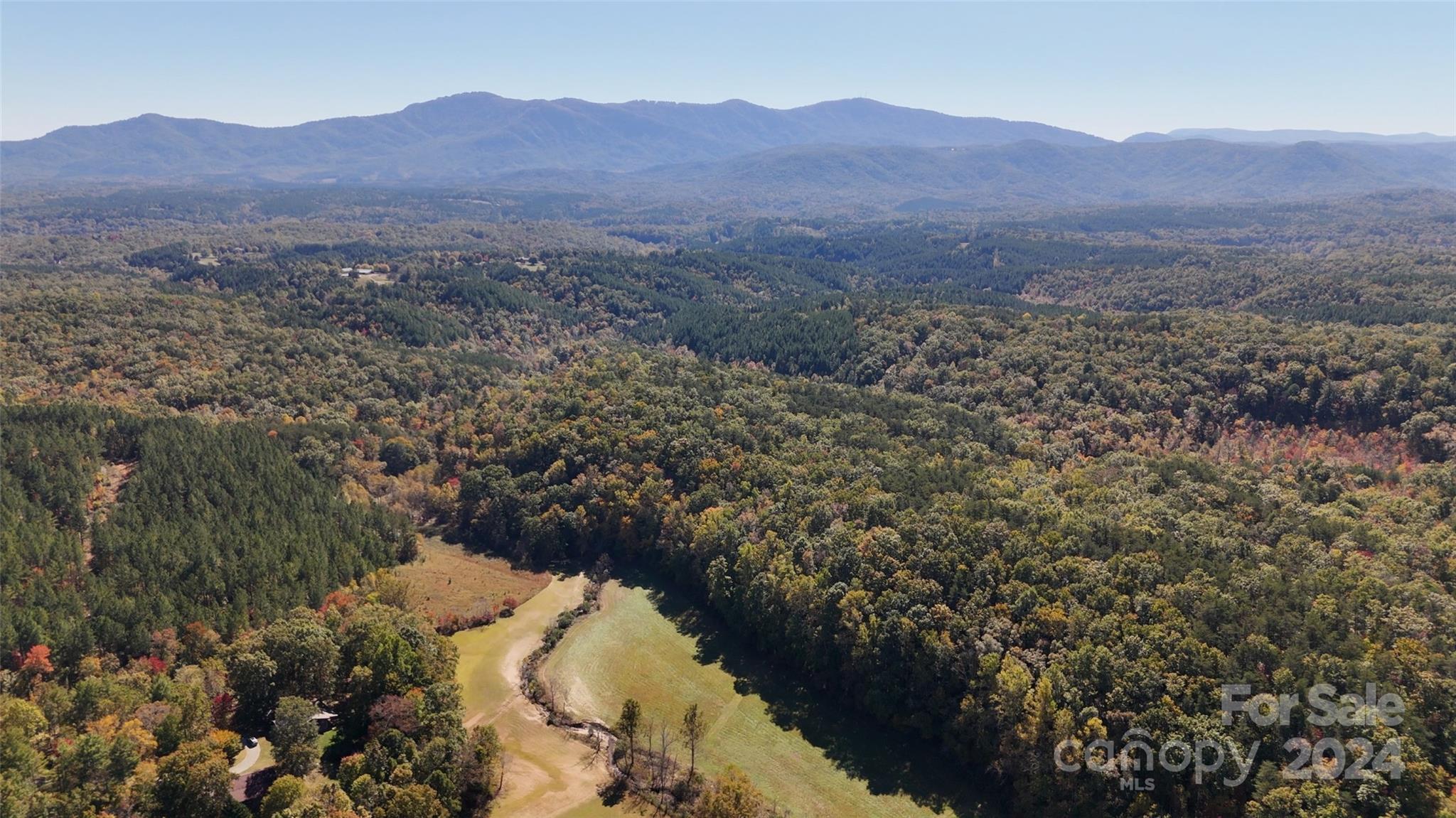 46.6-acres Regan Jackson Road Mill Spring, NC 28756 - Photo 9 of 28 a view of a lush green hillside and houses