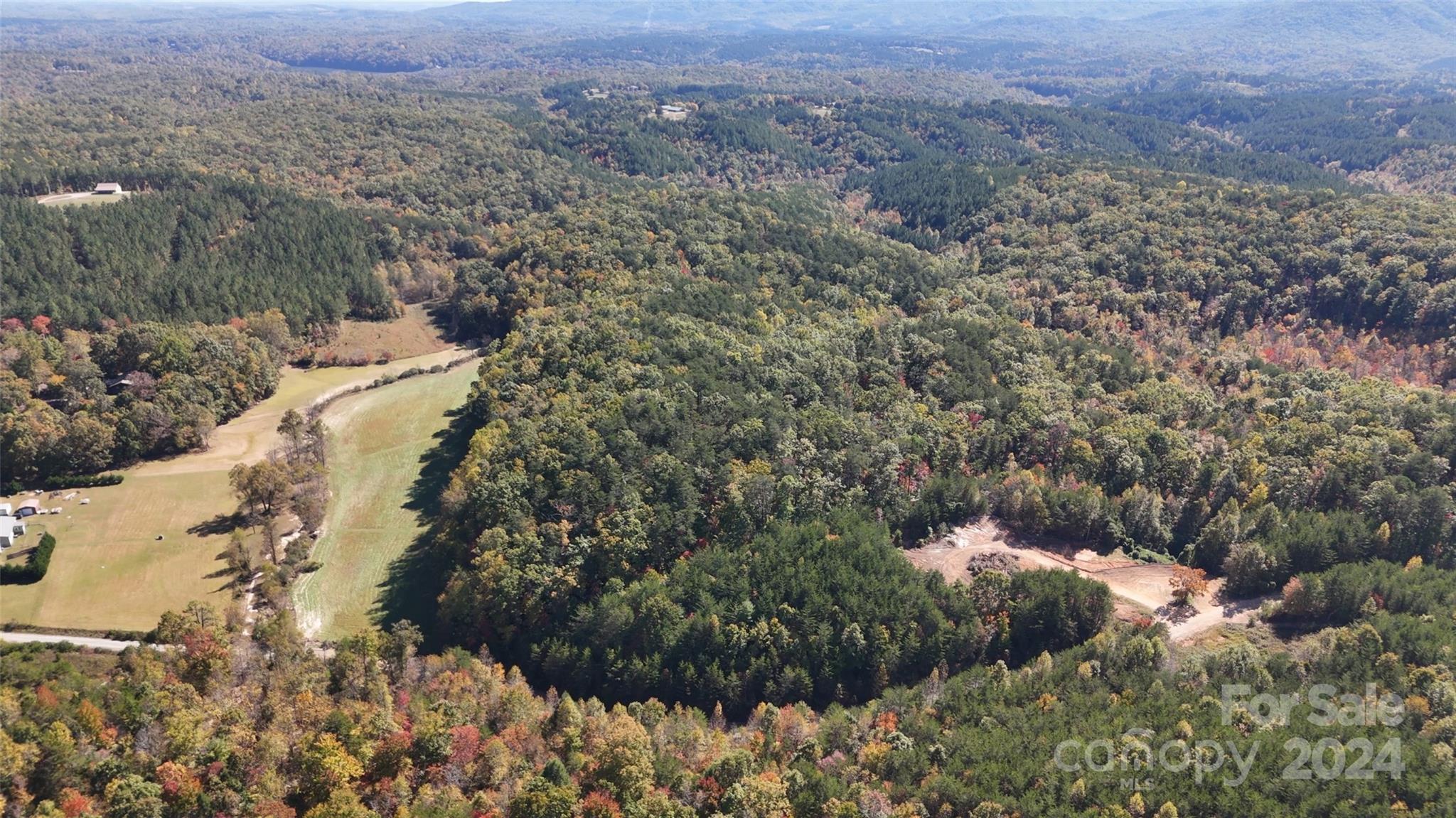 46.6-acres Regan Jackson Road Mill Spring, NC 28756 - Photo 10 of 28 a view of a forest with a street