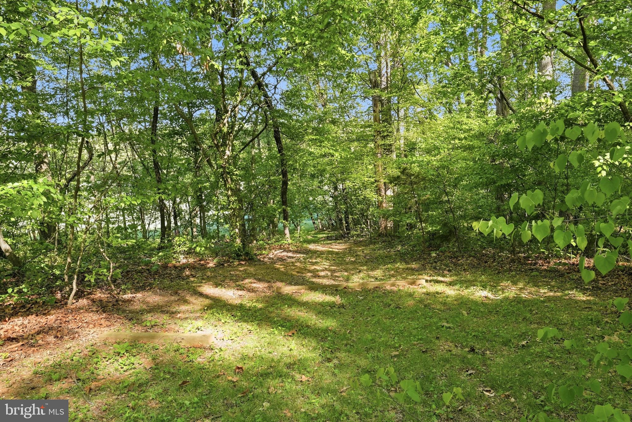4512 True Blue Road Culpeper, VA 22701 - Photo 25 of 29
