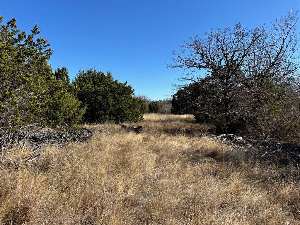 102 Sean Lane Bangs, TX 76823 - Photo 2 of 12 a view of a dry yard with trees
