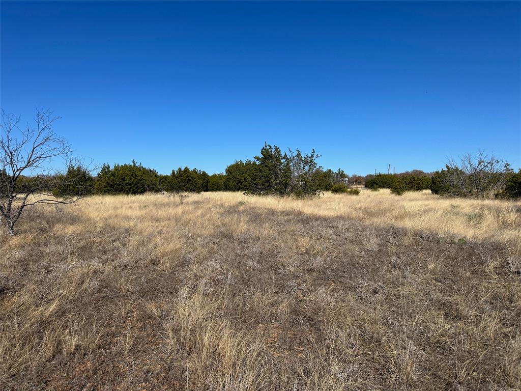102 Sean Lane Bangs, TX 76823 - Photo 7 of 12 a view of lake view and mountain view