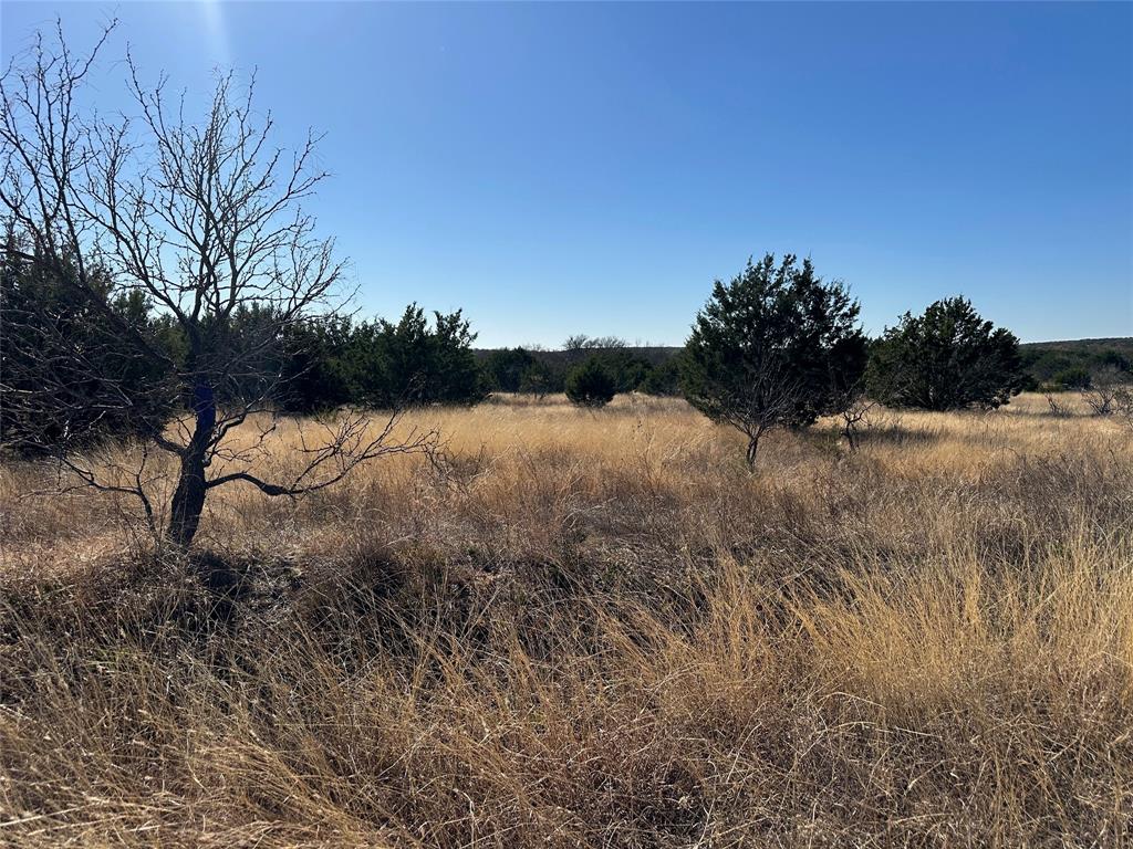102 Sean Lane Bangs, TX 76823 - Photo 8 of 12 a view of mountain lake and mountain view