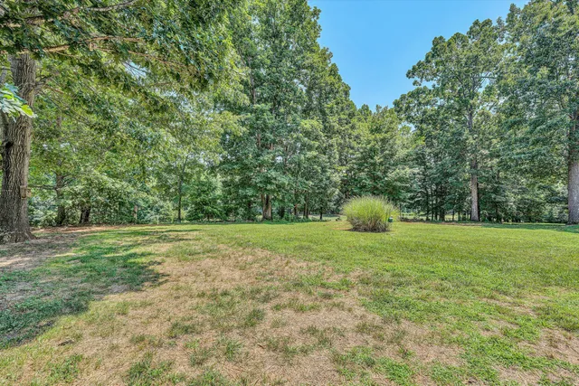 a view of a big yard with a tree