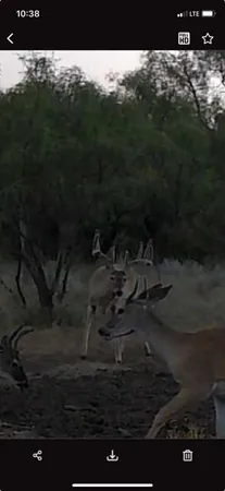 $246,500 | 218 Seymour Tx 76380, Seymour, TX 76380