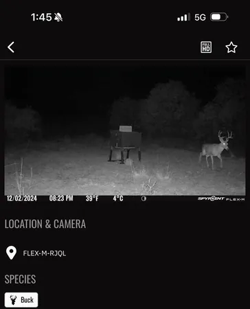 $246,500 | 218 Seymour Tx 76380, Seymour, TX 76380