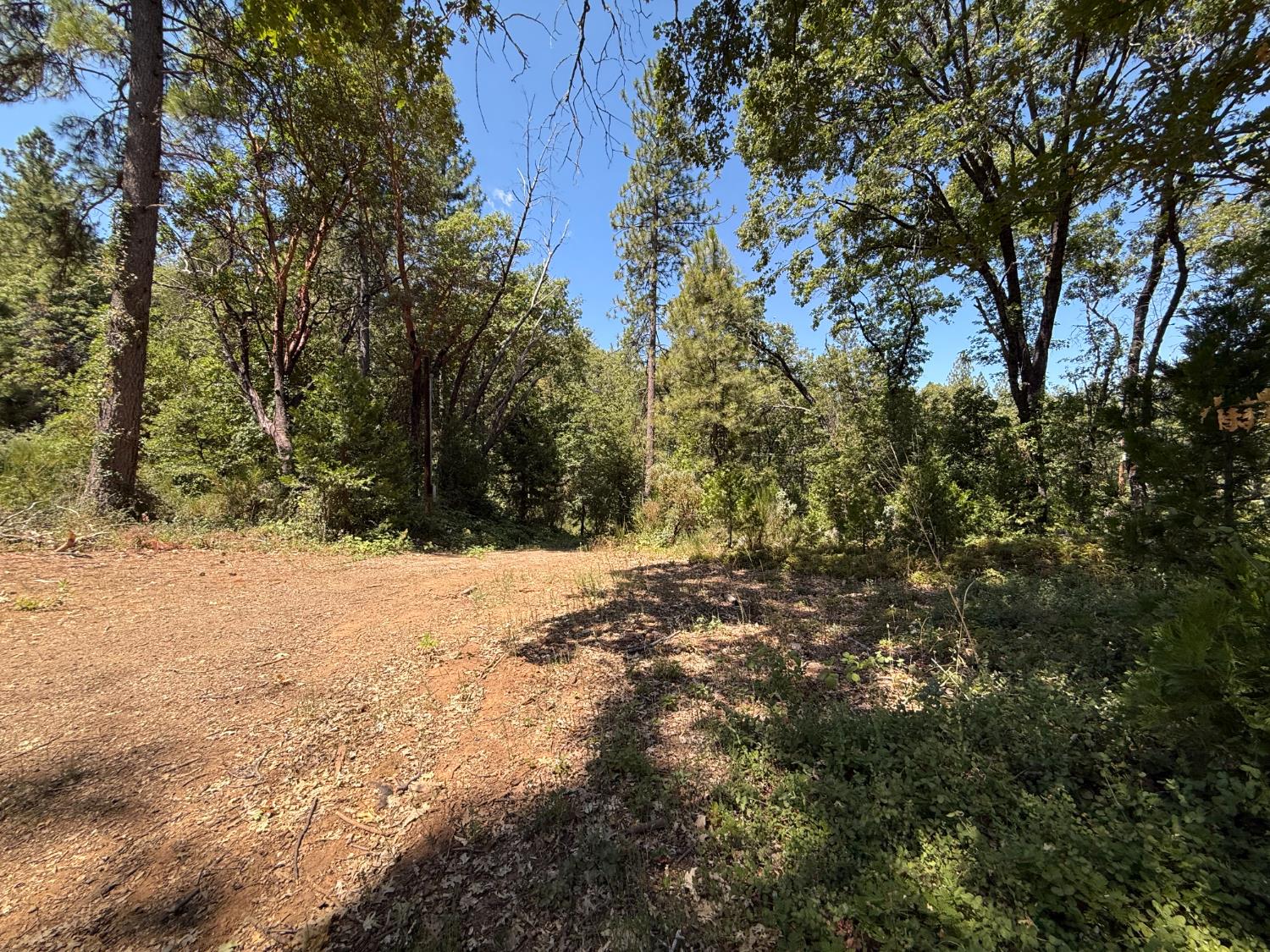 15473 Blind Shady Road Nevada City, CA 95959 - Photo 15 of 24 a view of a yard covered in snow