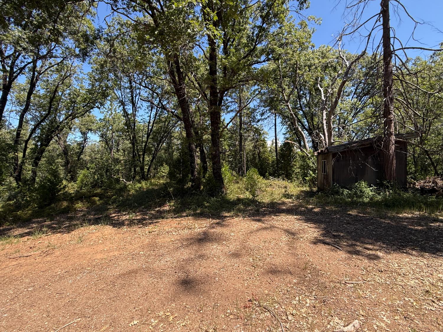 15473 Blind Shady Road Nevada City, CA 95959 - Photo 2 of 24 a view of a tree in the middle of a yard